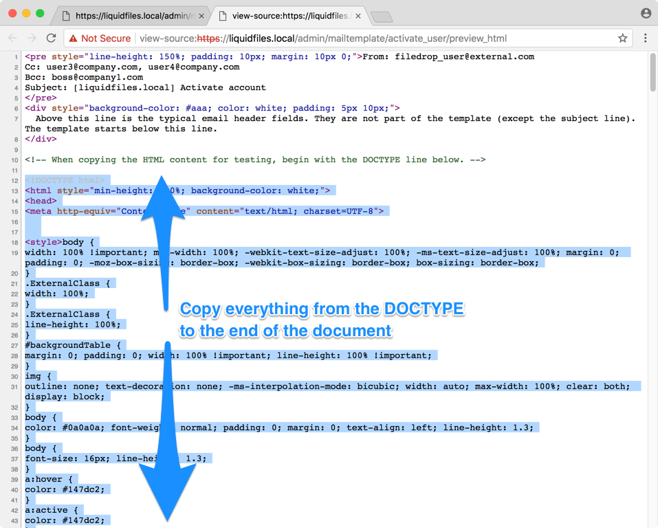 Browser view source of email preview