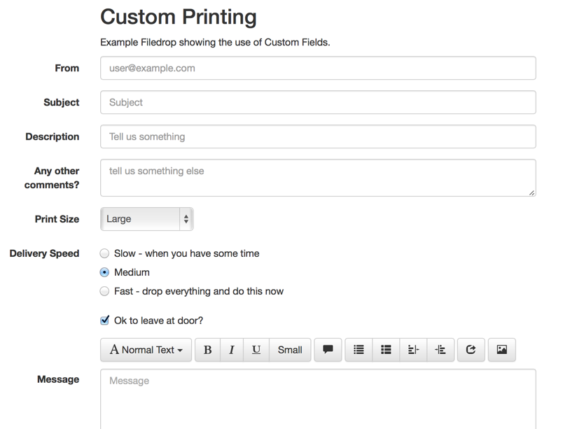 Filedrop custom fields form example