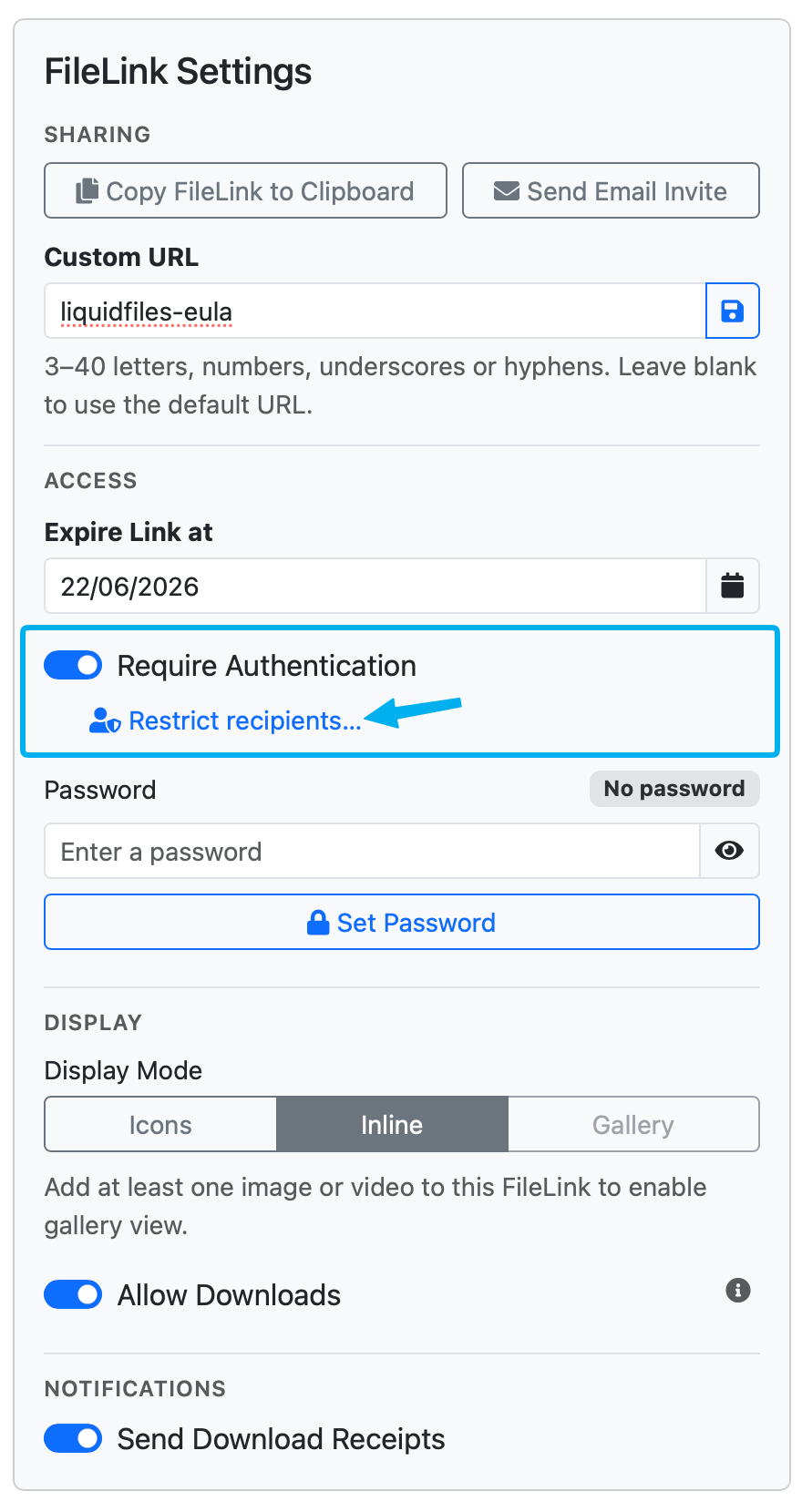 Require Authentication with Restrict recipients link