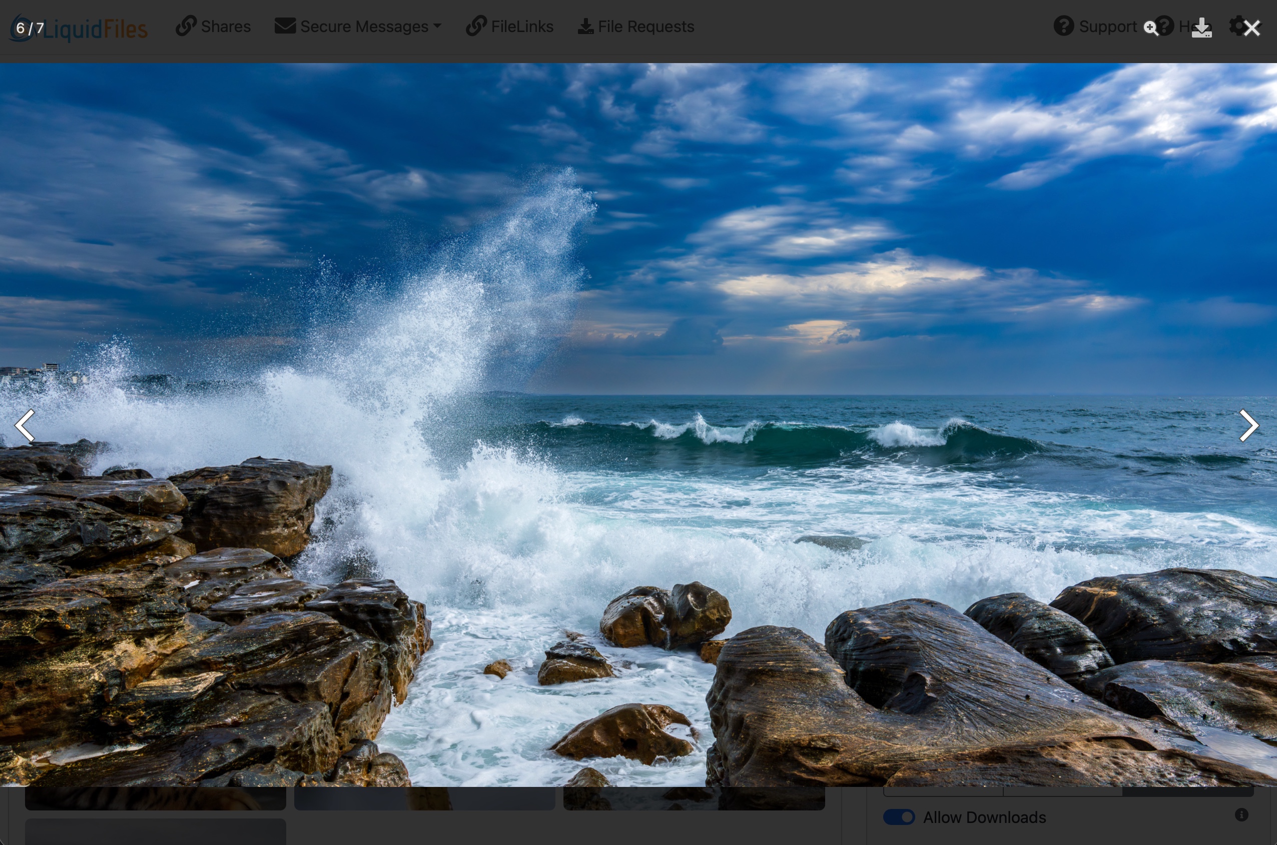 FileLink gallery lightbox