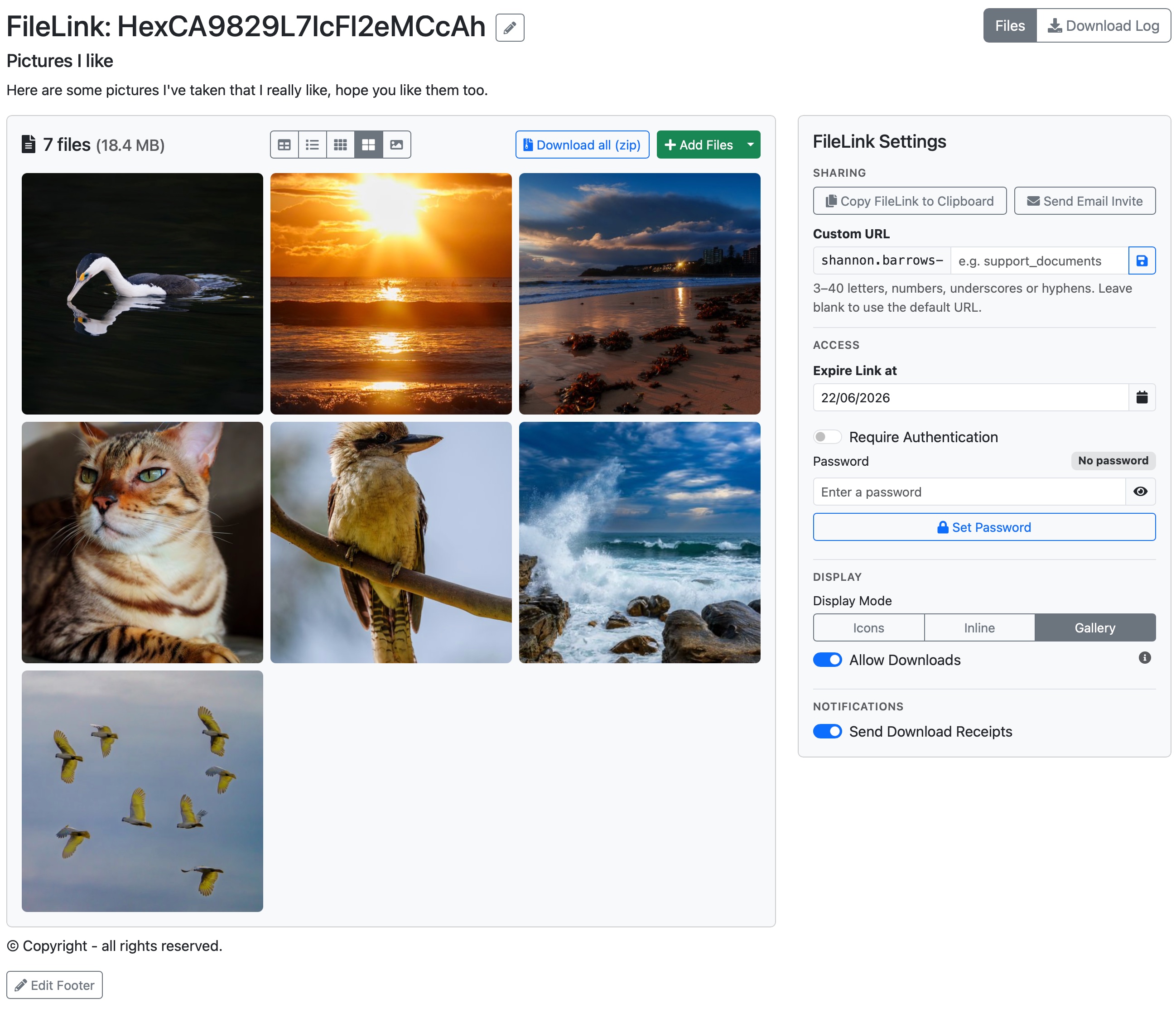 FileLink gallery view