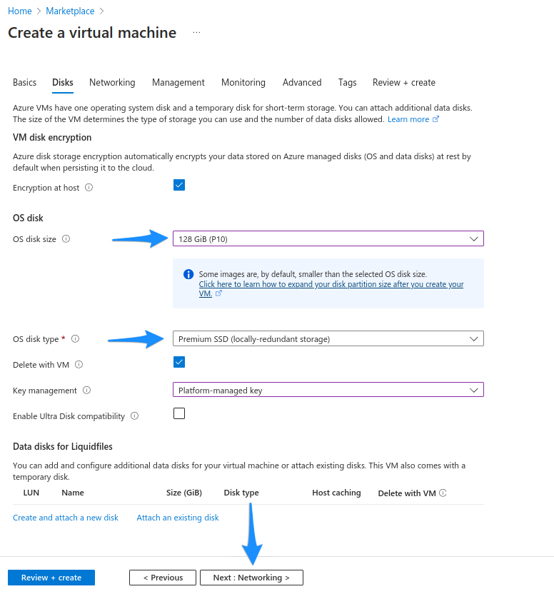 Azure disks configuration options