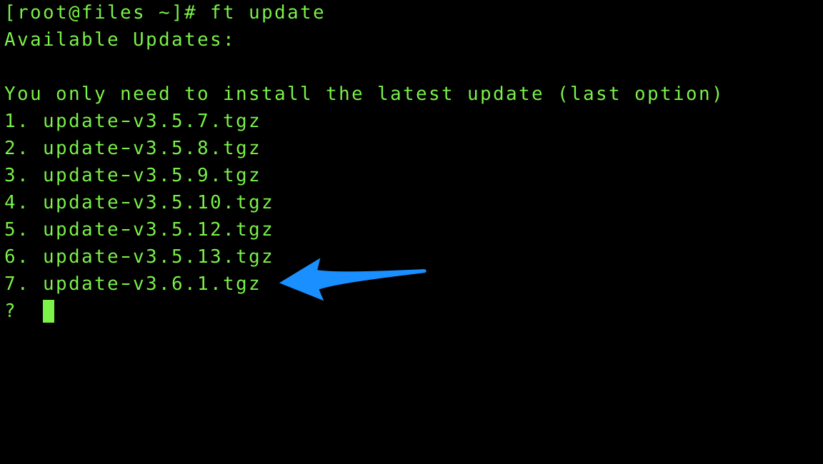 Console ft update command output
