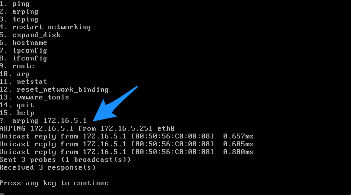 arping test showing MAC address response
