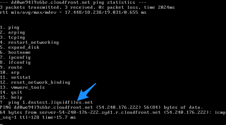DNS resolution test with ping